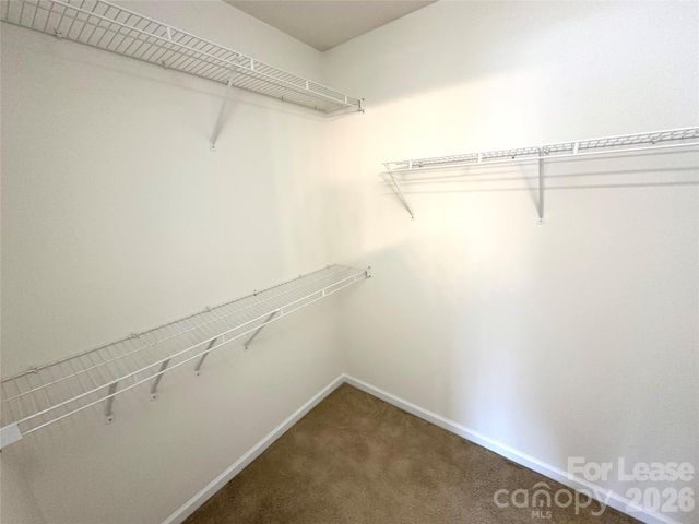 8227 Belmont Stables Drive, Charlotte, NC 28216