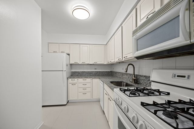 301 Chicago Avenue 3CW, Oak Park, IL 60302