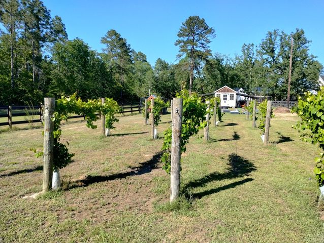 180 Ballard Drive, Trenton, SC 29847
