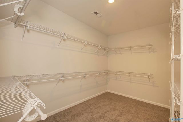 14229 Grey Goose Lane, Harvest, AL 35749