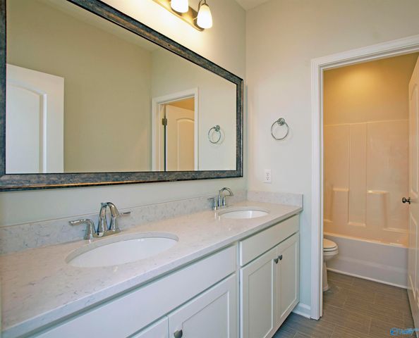 14229 Grey Goose Lane, Harvest, AL 35749