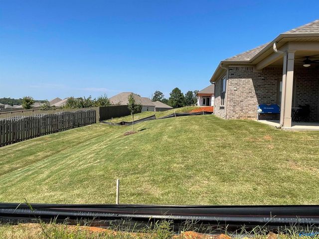 14229 Grey Goose Lane, Harvest, AL 35749