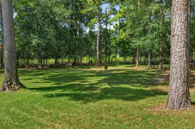 501 Corsair Court, Montgomery, TX 77316