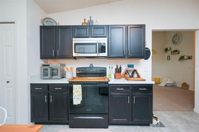 1537 BAYWOOD VILLAGE COURT, Mount Dora, FL 32757