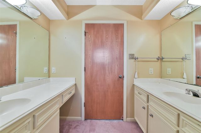 3919 Badger Forest Drive, Houston, TX 77088