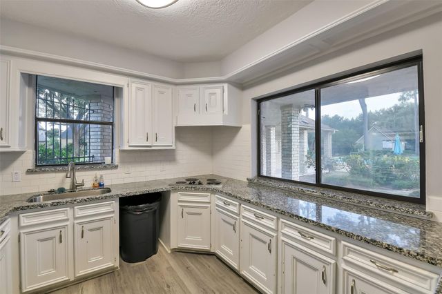 3919 Badger Forest Drive, Houston, TX 77088