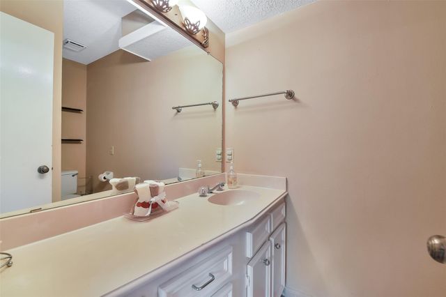 3919 Badger Forest Drive, Houston, TX 77088