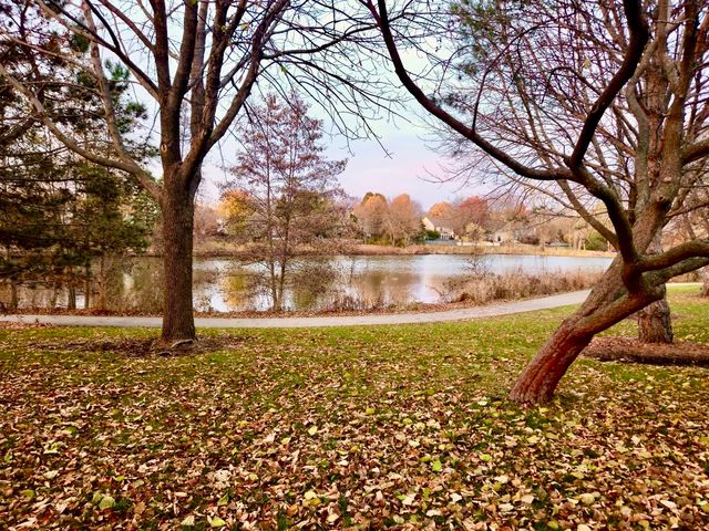 943 Chesapeake Boulevard, Grayslake, IL 60030