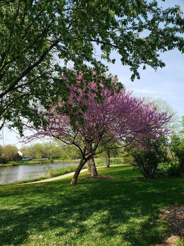 943 Chesapeake Boulevard, Grayslake, IL 60030