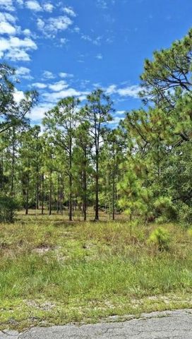 16491 STRAUSS AVENUE, Port Charlotte, FL 33954