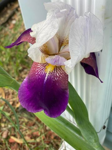 12632 Patnoe Drive, St. John, IN 46373