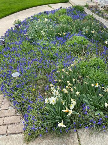 12632 Patnoe Drive, St. John, IN 46373