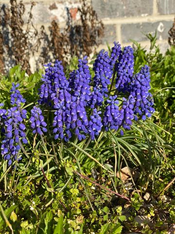 12632 Patnoe Drive, St. John, IN 46373