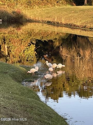 5203 Windward Way, Southport, NC 28461