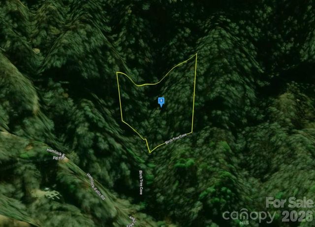 111 Birch Tree Cove, Franklin, NC 28734