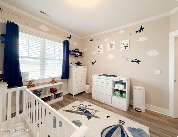 238 Bellows Lane, Rocky Point, NC 28457