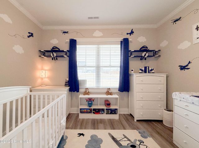 238 Bellows Lane, Rocky Point, NC 28457