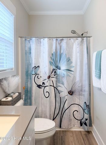 238 Bellows Lane, Rocky Point, NC 28457