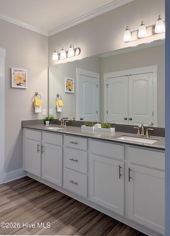 238 Bellows Lane, Rocky Point, NC 28457