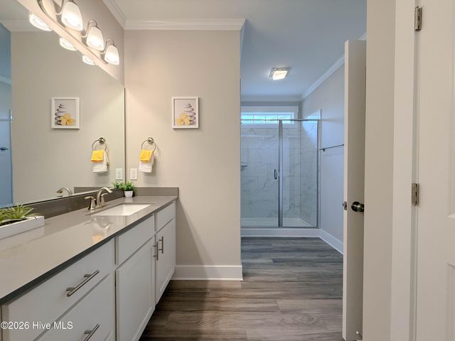 238 Bellows Lane, Rocky Point, NC 28457