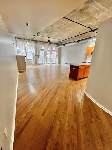 933 W Van Buren Street 302, Chicago, IL 60607