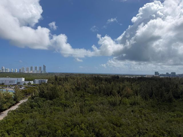 15051 Royal Oaks Lane 1603, North Miami, FL 33181