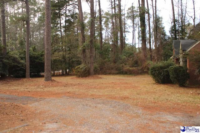 12 Bayswater Rd., Quinby, SC 29506