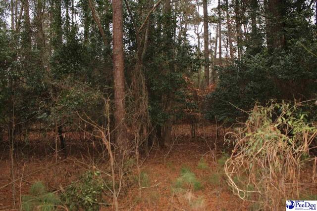 12 Bayswater Rd., Quinby, SC 29506