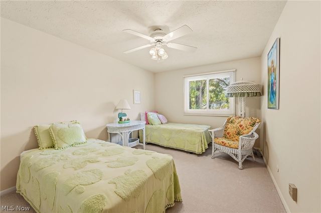 5379 Meadow Wood Boulevard, Lyndhurst, OH 44124