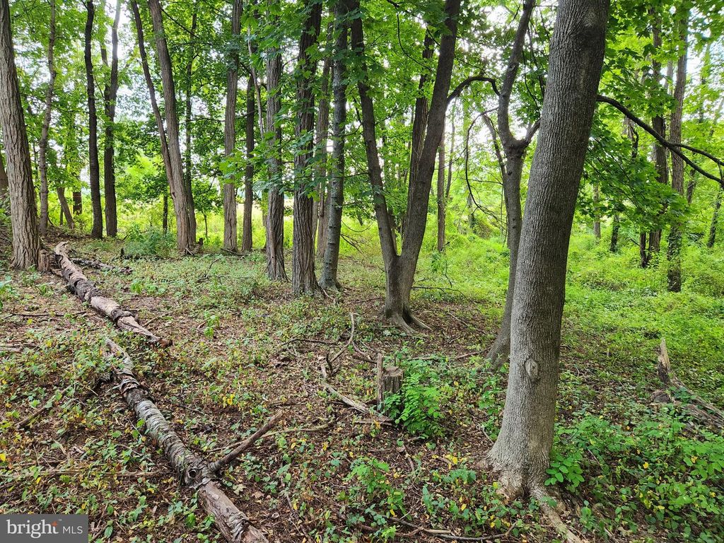 485 HERSHEY RD, Harrisburg, PA 17112