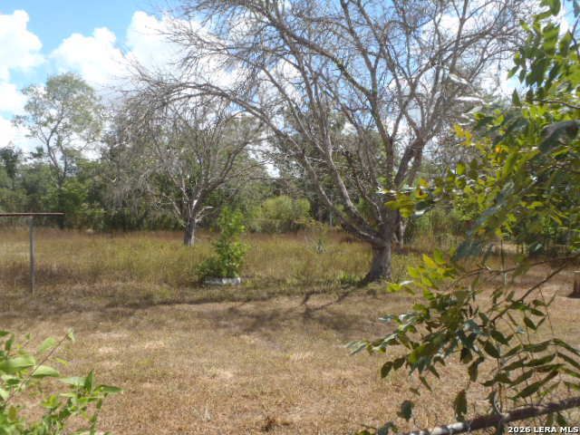921 Pecan St, Seguin, TX 78155