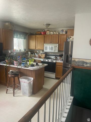 13105 S 2110 W, Riverton, UT 84065