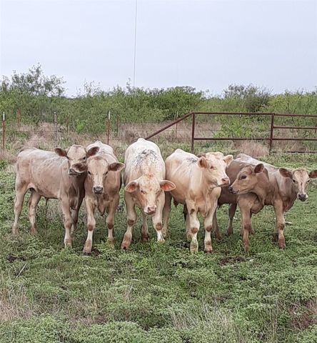 2276 Hodge, Moody, TX 76557