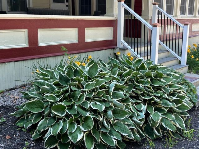146 N Main Street, Wolfeboro, NH 03894