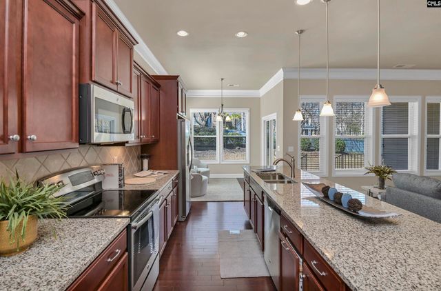 1 Downing Circle, Gilbert, SC 29054