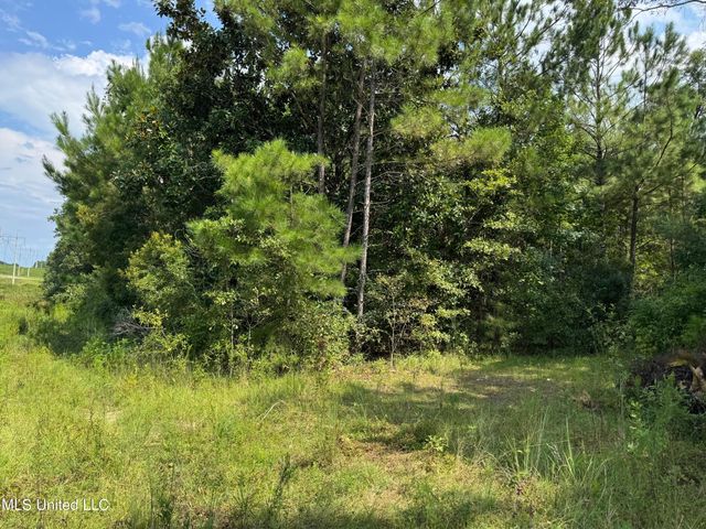 Nhn Darby Lane, Carriere, MS 39426