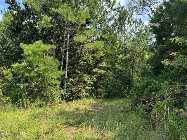 Nhn Darby Lane, Carriere, MS 39426