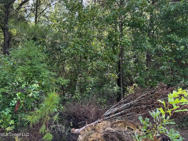 Nhn Darby Lane, Carriere, MS 39426