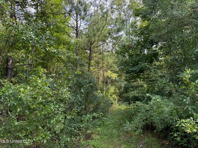 Nhn Darby Lane, Carriere, MS 39426