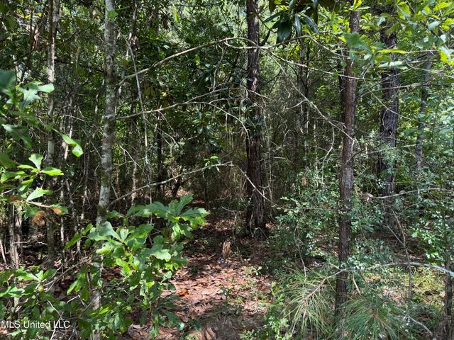 Nhn Darby Lane, Carriere, MS 39426