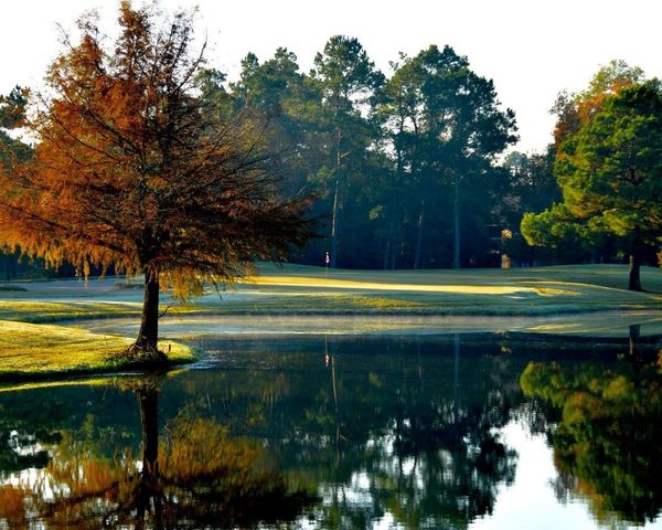 24220 Auburn Trails Drive, Porter, TX 77365