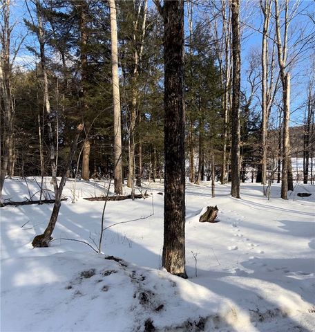 166 Fields Cross Road, Laurens, NY 13810