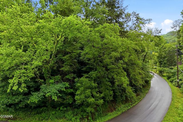 127 Beech Branch Road, Gatlinburg, TN 37738
