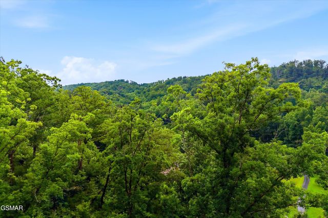 127 Beech Branch Road, Gatlinburg, TN 37738