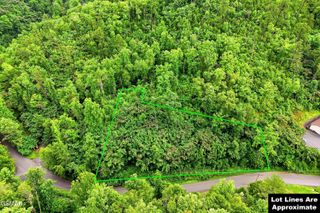 127 Beech Branch Road, Gatlinburg, TN 37738