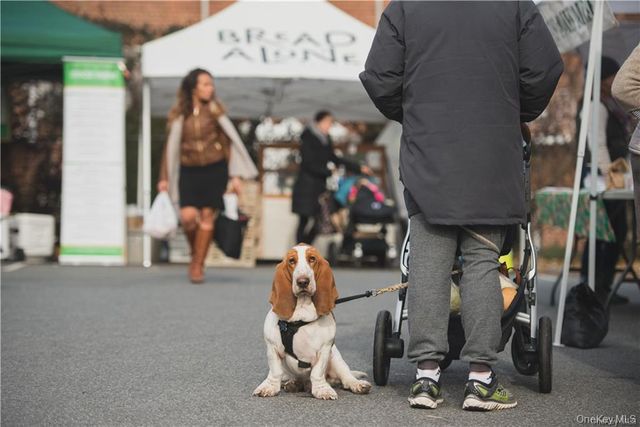 22 Olinda Avenue, Hastings-on-hudson, NY 10706