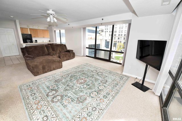 123 SW JEFFERSON Avenue E3E, Peoria, IL 61602