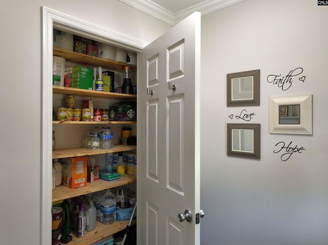 508 Livebark Lane, Lexington, SC 29073