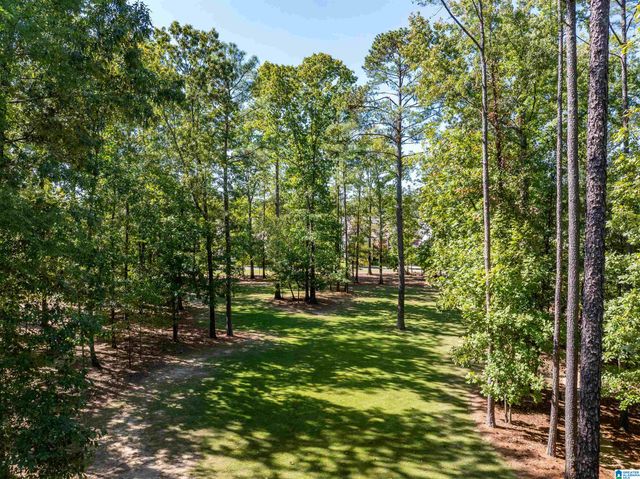 4391 VILLAGE GREEN CIRCLE, Hoover, AL 35226