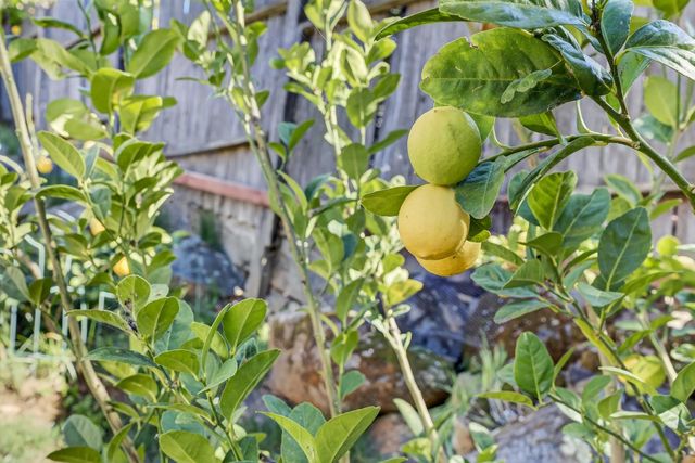 3817 Los Santos Dr, Cameron Park, CA 95682